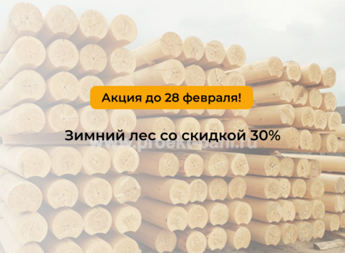 Зимний лес со скидкой 30%